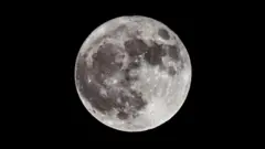 Full Moon