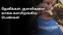 தேனீக்கள், குளவிகளை பயமில்லாமல் கையாளும் பெண்கள்: ஏன் தெரியுமா?
