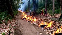 डढेलो
