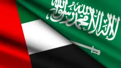 العلم السعودي والعلم الإماراتي.