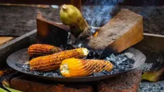 Boqqolloon yeroo waadamu