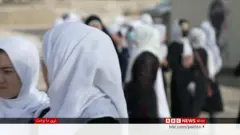 کابل 