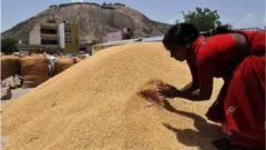 కనీస మద్దతు ధర