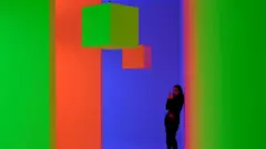 Trabajo artístico de Carlos Cruz Díez.
