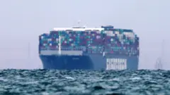The Ever Given enters the Great Bitter Lake, part of the Suez Canal, on 29 March 2021