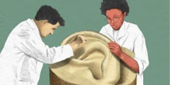 የጆሮ ኩክ