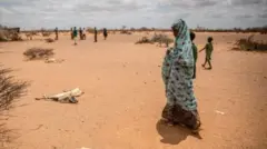 በድርቅ የተጎዳ የሶማሊያ አካባቢ