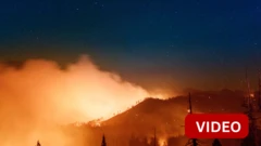 WILD FIRE