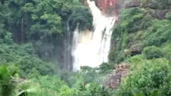 తిరుమల జలపాతం