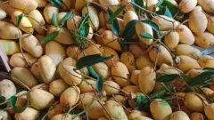 কাটিমন আম পাকার পর হলুদ রঙের হয়।