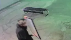 Lopov krade vrednu sliku