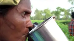 అసోం టీ