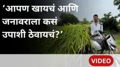 थंबनेल