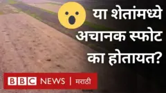 रशिया 