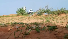 Ganau ya ce dakarun RSF sun bayar da umarnin jibge gomman gawarwaki a rami