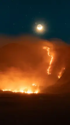Kebakaran hutan di Gunung Bromo