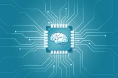 Elon Musk: como implante cerebral Neuralink do bilionário 'amplia as fronteiras da mente' 2 Ilustração de um circuito de computador implantado no cérebro humano