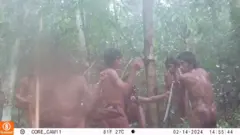 Povos indígenas na selva brasileira em 2024