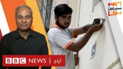 سیربین