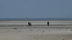 Люди ищут артефакты