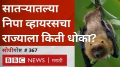 महाराष्ट्र, निपा व्हायरस