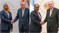 ፕሬዝዳንት ኤርዶዋን፣ ከጠቅላይ ሚኒስትር ዐቢይ እና ከፕሬዝዳንት ሐሰን ጋር በተናጠል 