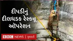 દીપડી