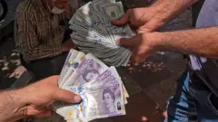 iran money