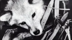 Laika