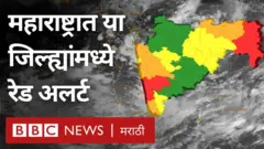 महाराष्ट्रात पावसाचा जोर वाढला, 'या' जिल्ह्यांना रेड अर्लट