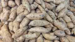 Wetin be di health benefits of sweet potato