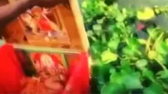 बक्से में मिली बच्ची
