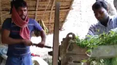 मज़दूर, बिहार