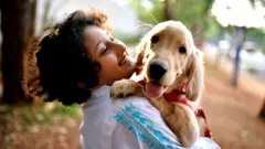કૂતરું