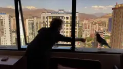 وقتی دوران قرنطینه دوستان جدیدی به ارمغان می آورد