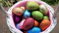 eggs in one basket