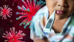 చాందీపుర వైరస్, గుజరాత్