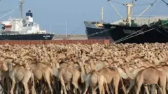 Wasiirka ayaa sababta ku sheegay in ninkan uu farogelin ku sameeyay madaxbaanida Somaliland.