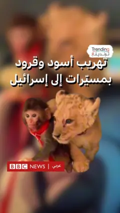 BBC 