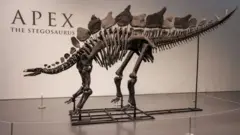 Fosil dinosaurusa