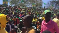 Wafuasi wa chama cha CCM