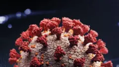 coronavirus