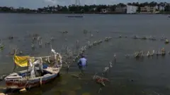 በደለል እየተሸፈመነ ያለው ዓባይ