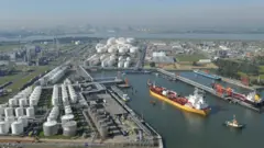 Antwerp'de petrol tesisi
