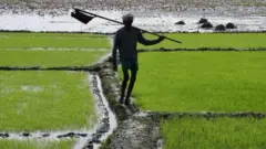 వ్యవసాయం, రైతులు