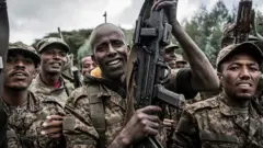 టిగ్రే సంక్షోభం