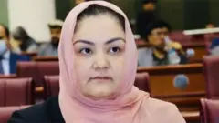 रंगीना झरगर