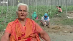 మహిళా రైతు