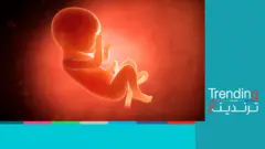 مواجهات بين جمهور كرة القدم والشرطة تكشف أجنة مدفونة في أصيص زرع على سطح عيادة طبية