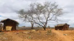 ኬንያ ድርቅ